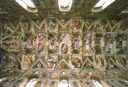 the sistine chapel ceiling Michelangelo Buonarroti